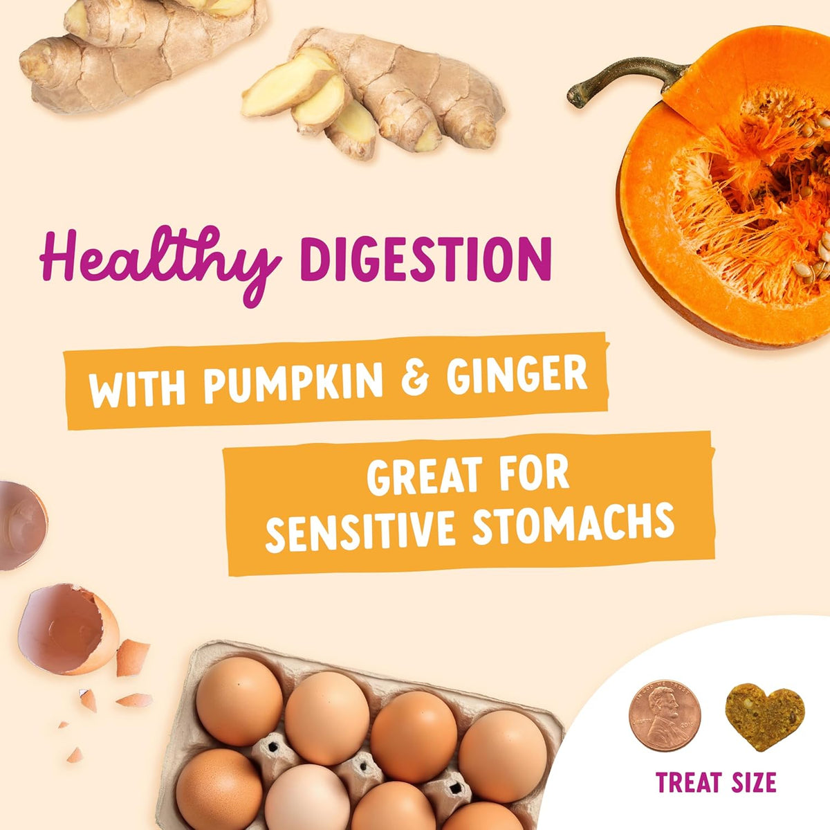 Health Extension Pumpkin & Ginger Digestive Treats for Dogs