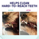 Health Extension Peanut Butter Flavor Dental Chews For Dogs