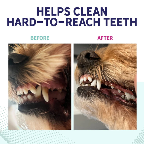 Health Extension Probiotic Dental Chews For Dogs