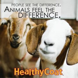 Healthy Coat Feed Supplement for Goats (32 oz) - Horse Vitamins & Supplements 2