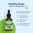 Healthy Gums for Canine Periodontal Health - Dog Dental Care 5