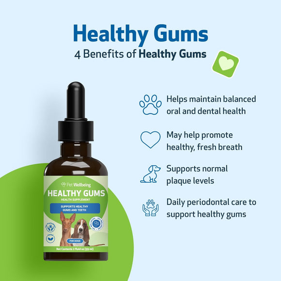 Healthy Gums for Canine Periodontal Health - Dog Dental Care 5