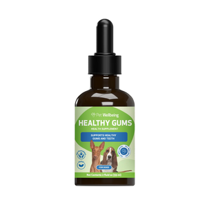 Healthy Gums for Canine Periodontal Health - Dog Dental Care 1