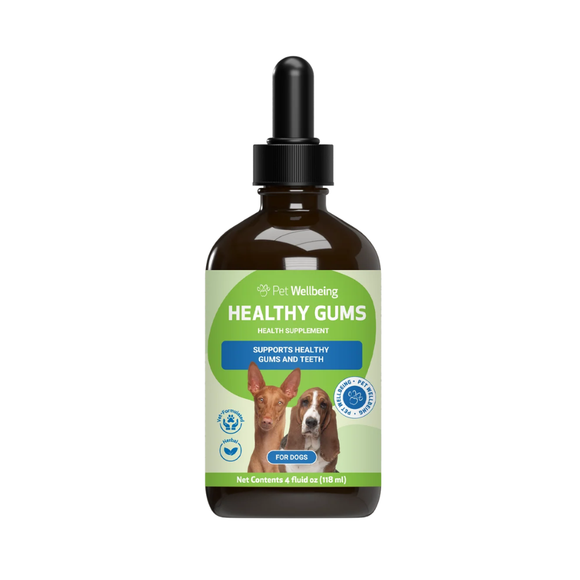 Healthy Gums for Canine Periodontal Health - Dog Dental Care 10