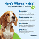 Healthy Gums for Canine Periodontal Health - Dog Dental Care 7