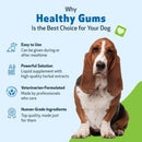 Healthy Gums for Canine Periodontal Health - Dog Dental Care 6