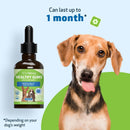 Healthy Gums for Canine Periodontal Health - Dog Dental Care 9