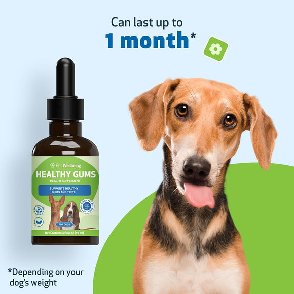 Healthy Gums for Canine Periodontal Health - Dog Dental Care 9