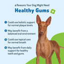 Healthy Gums for Canine Periodontal Health - Dog Dental Care 4