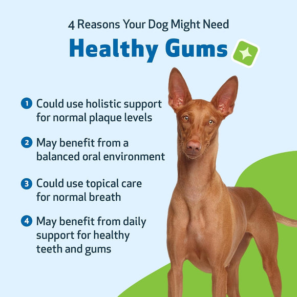 Healthy Gums for Canine Periodontal Health - Dog Dental Care 4