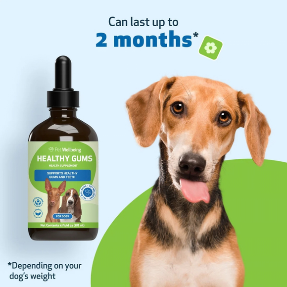 Healthy Gums for Canine Periodontal Health - Dog Dental Care 12