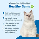 Healthy Gums for Feline Periodontal Health - Cat Dental Care 4