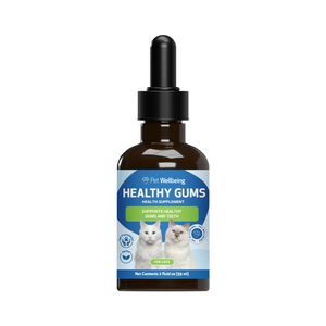 Healthy Gums for Feline Periodontal Health - Cat Dental Care 1
