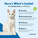 Healthy Gums for Feline Periodontal Health - Cat Dental Care 7