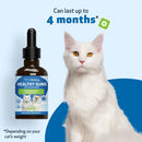 Healthy Gums for Feline Periodontal Health - Cat Dental Care 9