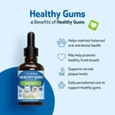 Healthy Gums for Feline Periodontal Health - Cat Dental Care 5