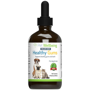 Healthy Gums for Feline Periodontal Health - Cat Dental Care 2