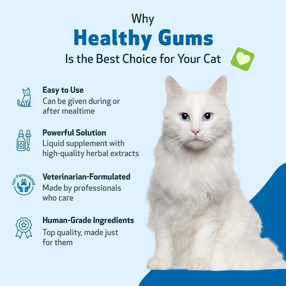 Healthy Gums for Feline Periodontal Health - Cat Dental Care 6