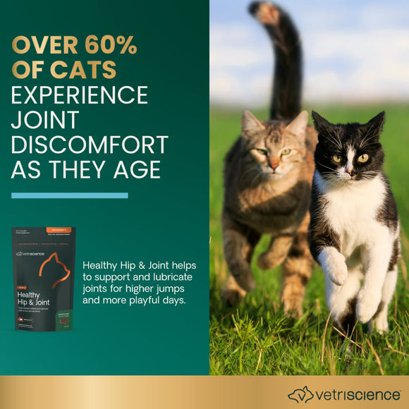 Healthy Hip & Joint Chews for Cats