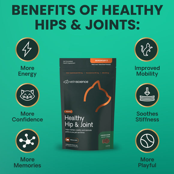 Healthy Hip & Joint Chews for Cats