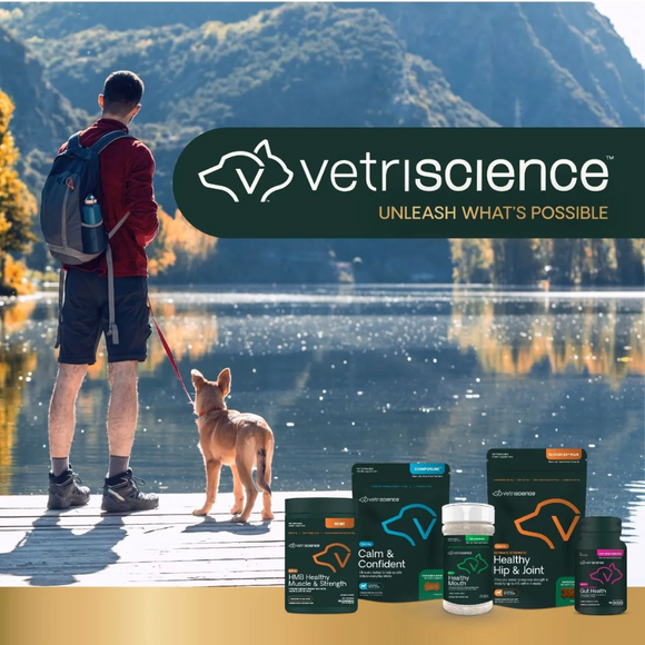 Healthy Hip & Joint Chews for Dogs Chicken Flavor