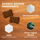 Healthy Hip & Joint Chews for Dogs Chicken Flavor
