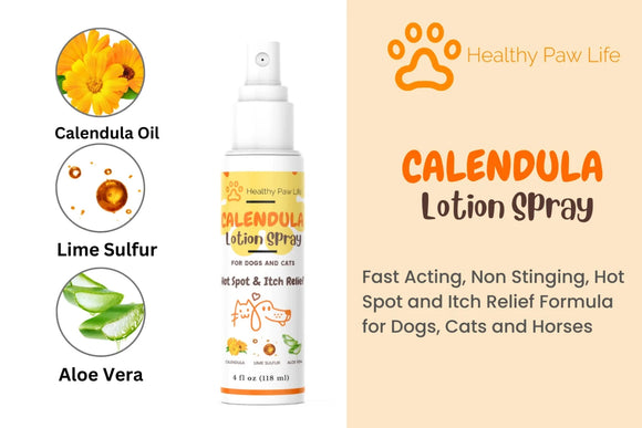 Healthy Paw Life Calendula Lotion Spray for Dogs & Cats 4-oz - Pet Grooming Supplies 2