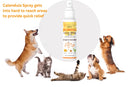 Healthy Paw Life Calendula Lotion Spray for Dogs & Cats 4-oz - Pet Grooming Supplies 5