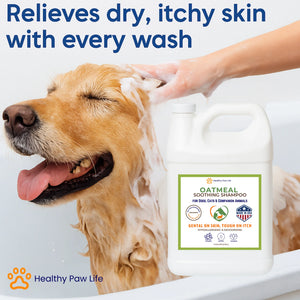 Healthy Paw Life Oatmeal Soothing Shampoo for Dogs Cats & Companion Animals 1-gallon - Pet Grooming Supplies 2