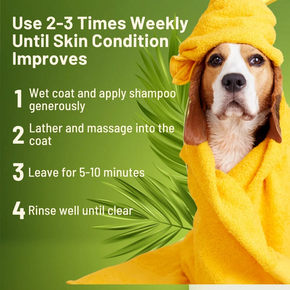 Healthy Paw Life Sulfur & Neem Restorative Shampoo with Oatmeal for Dogs Cats & Companion Animals 8-oz - Pet Grooming
