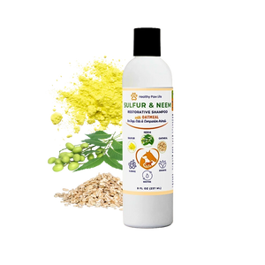 Healthy Paw Life Sulfur & Neem Restorative Shampoo with Oatmeal for Dogs Cats & Companion Animals 8-oz - Pet Grooming