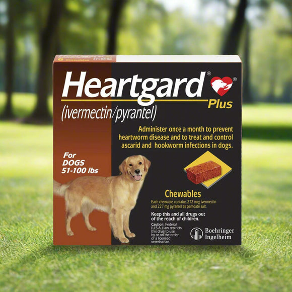 Heartgard Plus Heartworm Prevention Chews for Large Dogs 51-100 lbs