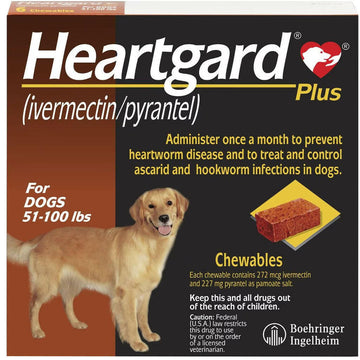 Heartgard Plus Heartworm Prevention Chews for Large Dogs 51-100 lbs