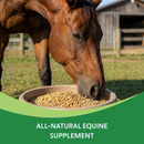 HEIRO Insulin Resistance Supplement for Horses - Horse Supplements 5