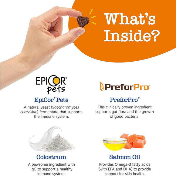 Zesty Paws Senior Advanced Allergy Immune Salmon Flavored Soft Chews Skin Support For Dog (90 ct)