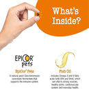 Zesty All in 1 Training Bite Bacon Flavor Multivitamin Treats For Dogs (8 oz)