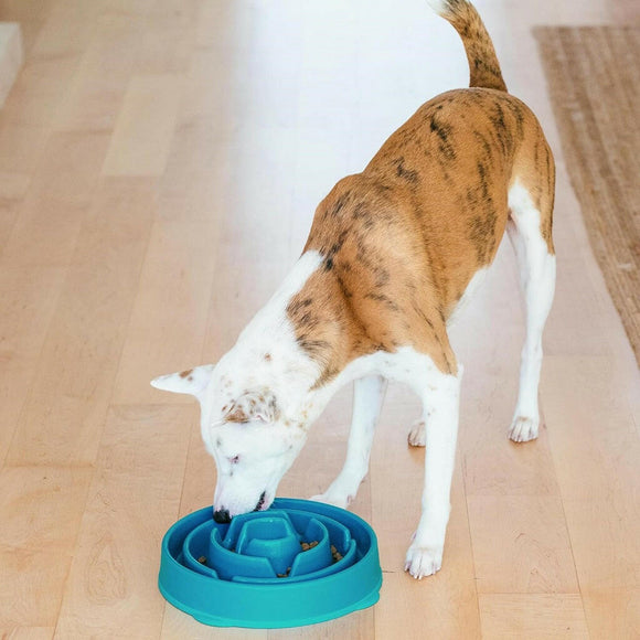 Outward Hound Fun Feeder Turquoise Drop For Dogs (Large/Regular)