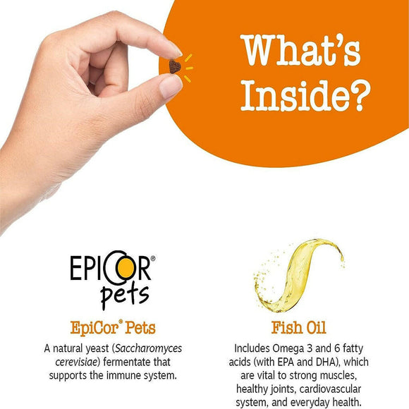 Zesty paws All-in-One Peanut Butter Flavored Multivitamin Training Bites for Dogs (8 oz)