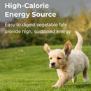 this high calorie dog gel is easy to digest