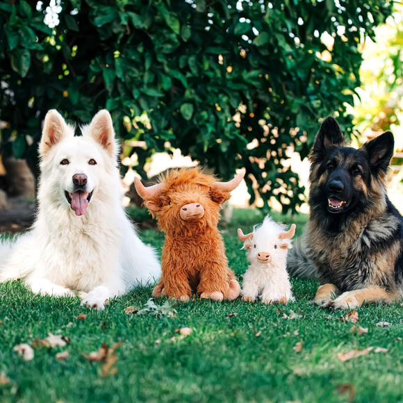Highland Cow Toy for Dogs Assorted Colors - Dog Toy 3