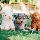 Highland Cow Toy for Dogs Assorted Colors - Dog Toy 2
