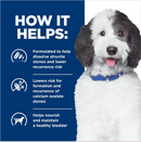 Hill's Prescription Diet c/d Multicare Urinary Care Chicken Flavor Canned Dog Food (13 oz x 12 cans)