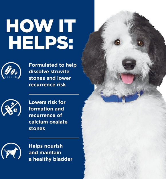 Hill’s Prescription Diet c/d Multicare Urinary Care Chicken Vegetable & Rice Stew Wet Dog Food (2.8 oz x 24 pouches)