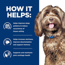 Hill’s Prescription Diet Cognitive + Mobility Brain Care + j/d Joint Care Rice & Turkey Recipe Wet Food For Dog (13oz x 12 cans)