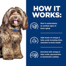 Hill’s Prescription Diet Cognitive + Mobility Brain Care + j/d Joint Care Rice & Turkey Recipe Wet Food For Dog (13oz x 12 cans)