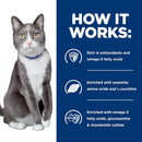 Hill’s Prescription Diet Cognitive + Mobility Brain Care + j/d Tuna & Vegetable Stew Wet Food For Cat (2.9 oz x 24 cans)