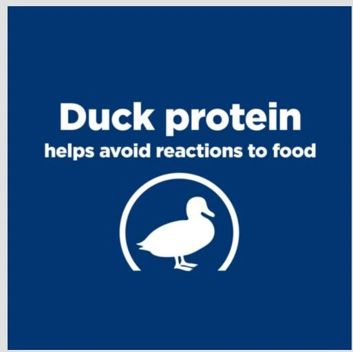 Hill’s Prescription Diet d/d Food Sensitivities Potato & Duck Formula Dry Dog Food - Prescription Dog Food 5