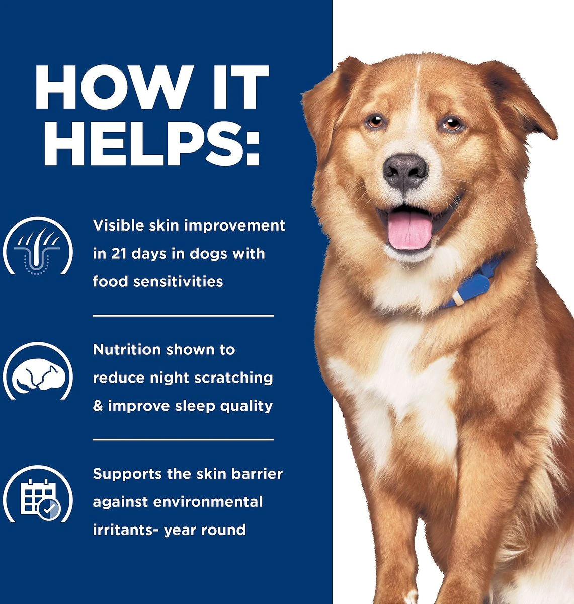 Hill’s Derm Complete Dog Food 6.5 lb – Skin & Food Sensitivities | Vet Diet