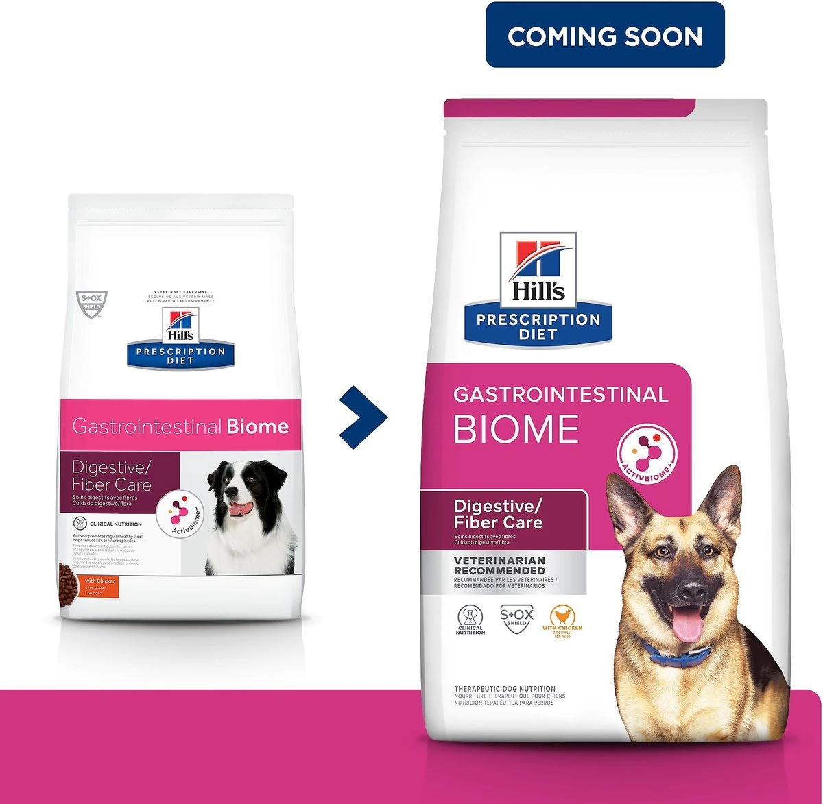 Hill's Prescription Diet Gastrointestinal Biome Dog Food
