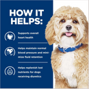 Hill’s Prescription Diet h/d Heart Care Chicken Flavor Dry Dog Food (17.6 lb) - Prescription Dog Food 4